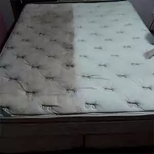 Seu Lavagem de tapete em Goiânia Limpo