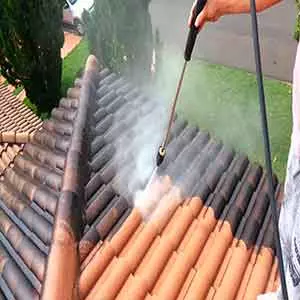 Entragamos Seu Lavagem de tapete em Goiânia em Casa