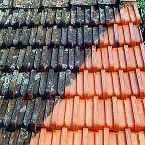 Áreas De Atuação da Lavagem de tapete em Goiânia